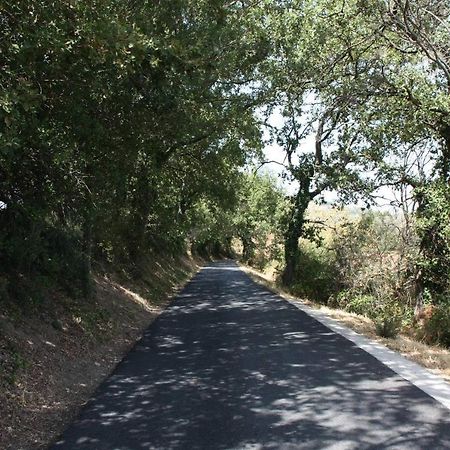 הוילה Le Puy-Sainte-Réparade Il Sole מראה חיצוני תמונה